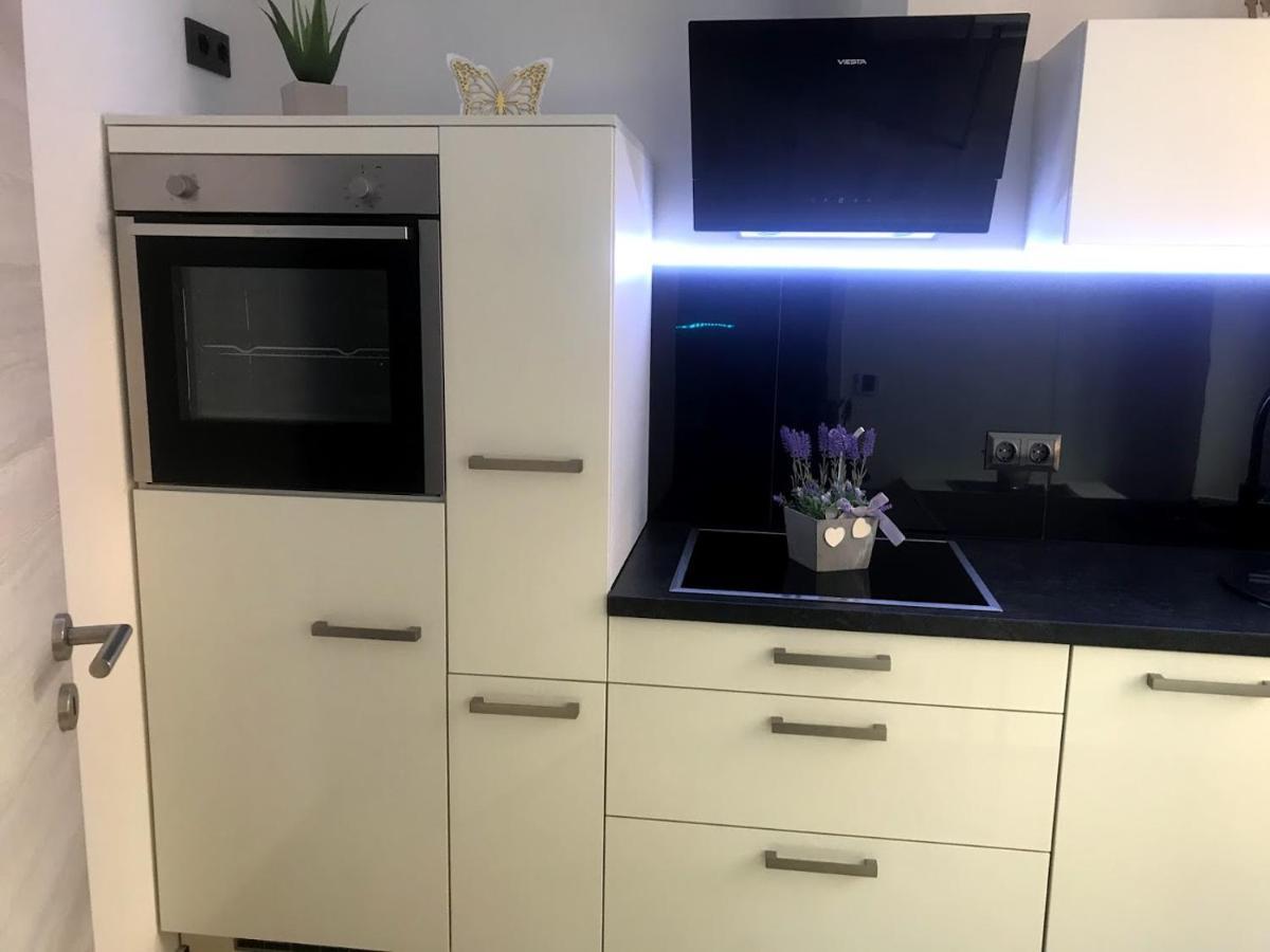 Salzhausblick Business Apartments - Zentrale Lage Am Salzhaus - Mwst-Rechnung Verfuegbar Zittau Kamer foto